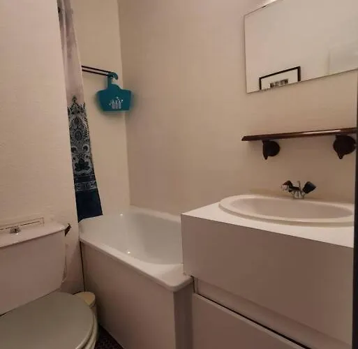 Joli Vue Sur Les Montagnes Avec Balcon * Cauterets